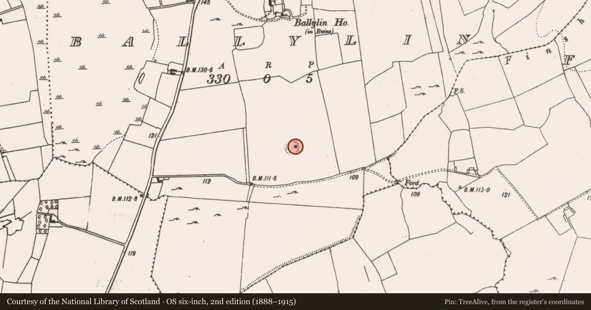 Ordnance Survey six-inch map, 2nd edition (1888–1915) covering the location of Ringfort - rath, Ballylin, County Limerick, with a pin at the register's coordinates