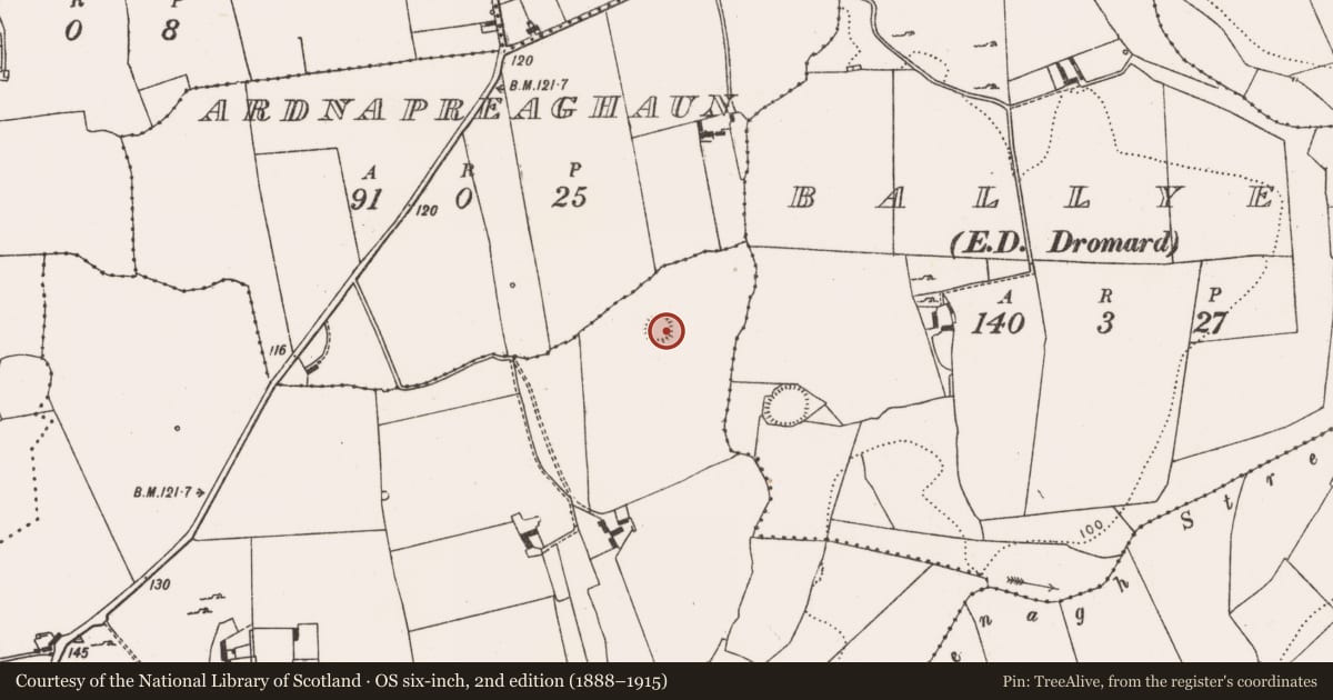Ordnance Survey six-inch map, 2nd edition (1888–1915) covering the location of Ringfort - rath, Ballylin, County Limerick, with a pin at the register's coordinates