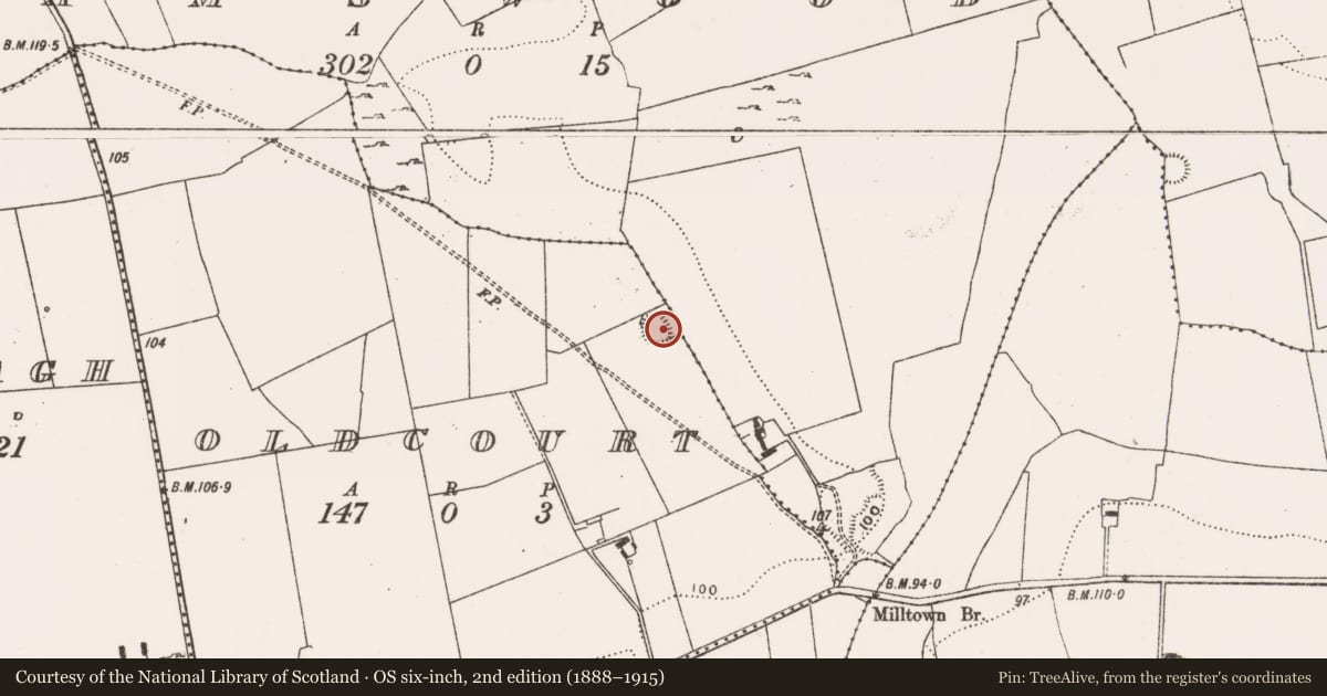 Ordnance Survey six-inch map, 2nd edition (1888–1915) covering the location of Ringfort - rath, Oldcourt, County Limerick, with a pin at the register's coordinates