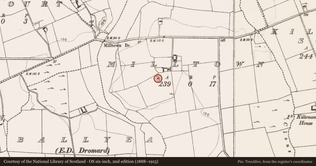 Ordnance Survey six-inch map, 2nd edition (1888–1915) covering the location of Ringfort - rath, Milltown, County Limerick, with a pin at the register's coordinates