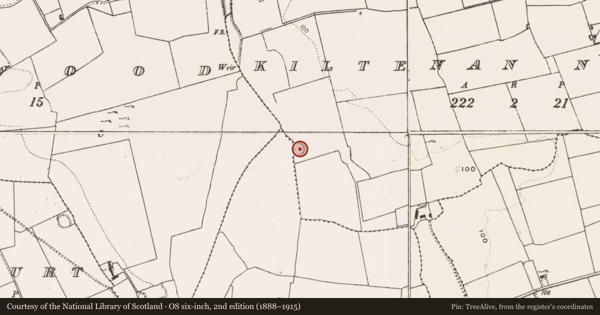 Ordnance Survey six-inch map, 2nd edition (1888–1915) covering the location of Ringfort - rath, Kiltenan North, County Limerick, with a pin at the register's coordinates