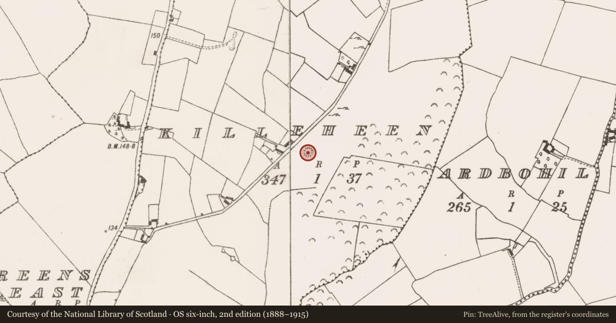Ordnance Survey six-inch map, 2nd edition (1888–1915) covering the location of Ringfort - rath, Killeheen, County Limerick, with a pin at the register's coordinates