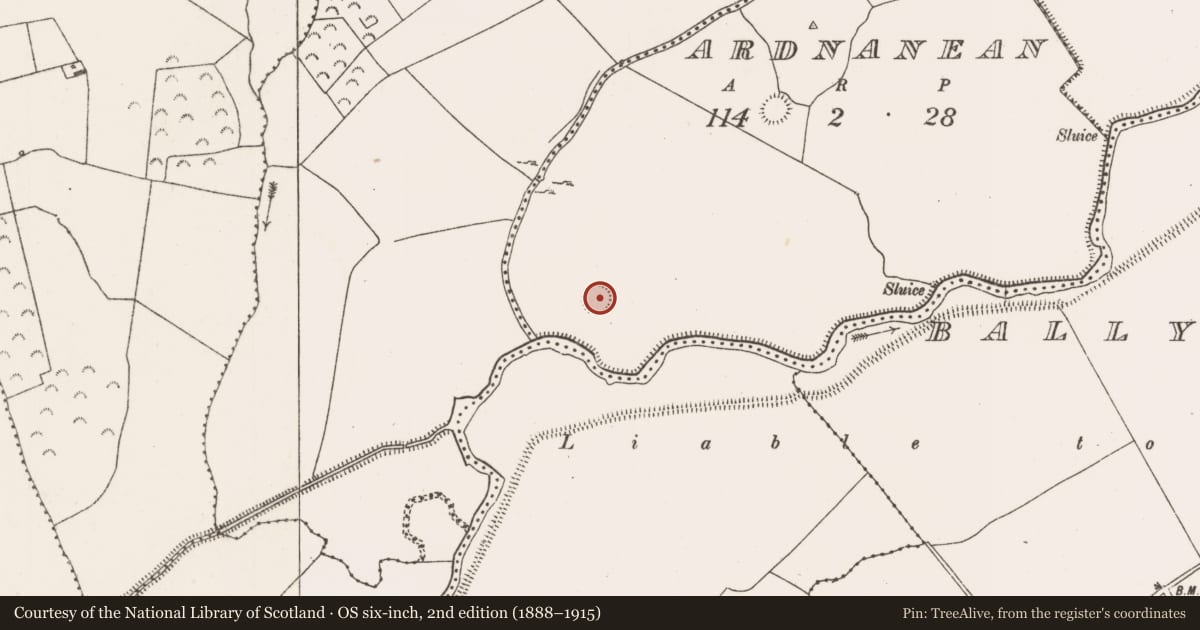 Ordnance Survey six-inch map, 2nd edition (1888–1915) covering the location of Enclosure, Ardnanean, County Limerick, with a pin at the register's coordinates