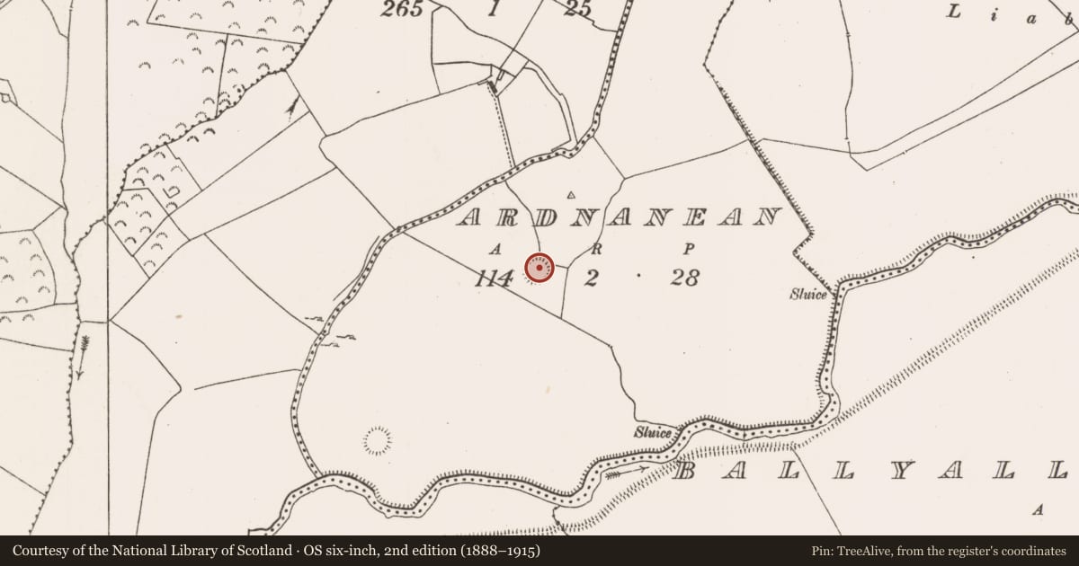 Ordnance Survey six-inch map, 2nd edition (1888–1915) covering the location of Ringfort - rath, Ardnanean, County Limerick, with a pin at the register's coordinates