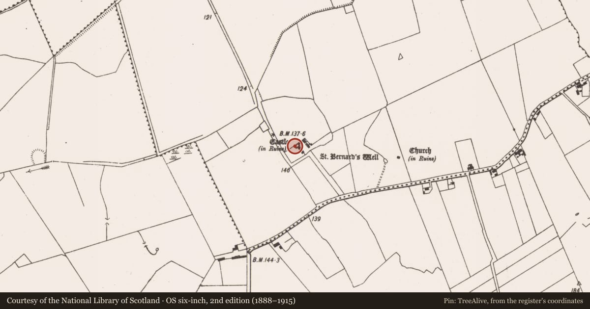 Ordnance Survey six-inch map, 2nd edition (1888–1915) covering the location of Castle - tower house, Ballyallinan North, County Limerick, with a pin at the register's coordinates