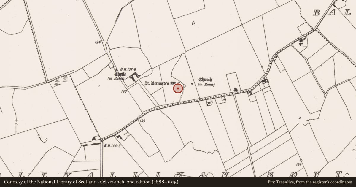Ordnance Survey six-inch map, 2nd edition (1888–1915) covering the location of Ecclesiastical enclosure, Ballyallinan North, County Limerick, with a pin at the register's coordinates