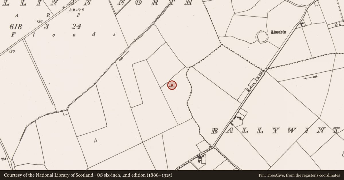 Ordnance Survey six-inch map, 2nd edition (1888–1915) covering the location of Ringfort - rath, Ballyallinan North, County Limerick, with a pin at the register's coordinates