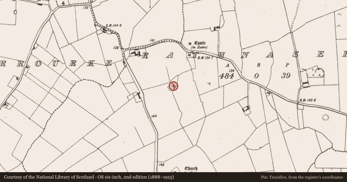 Ordnance Survey six-inch map, 2nd edition (1888–1915) covering the location of Ringfort - rath, Rathnaseer, County Limerick, with a pin at the register's coordinates