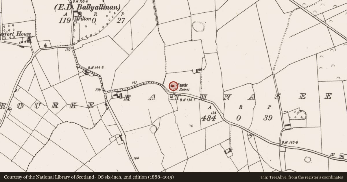 Ordnance Survey six-inch map, 2nd edition (1888–1915) covering the location of Castle - tower house, Rathnaseer, County Limerick, with a pin at the register's coordinates