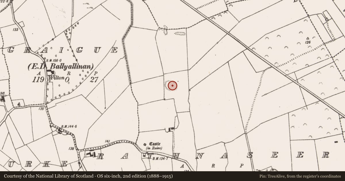 Ordnance Survey six-inch map, 2nd edition (1888–1915) covering the location of Ringfort - rath, Rathnaseer, County Limerick, with a pin at the register's coordinates