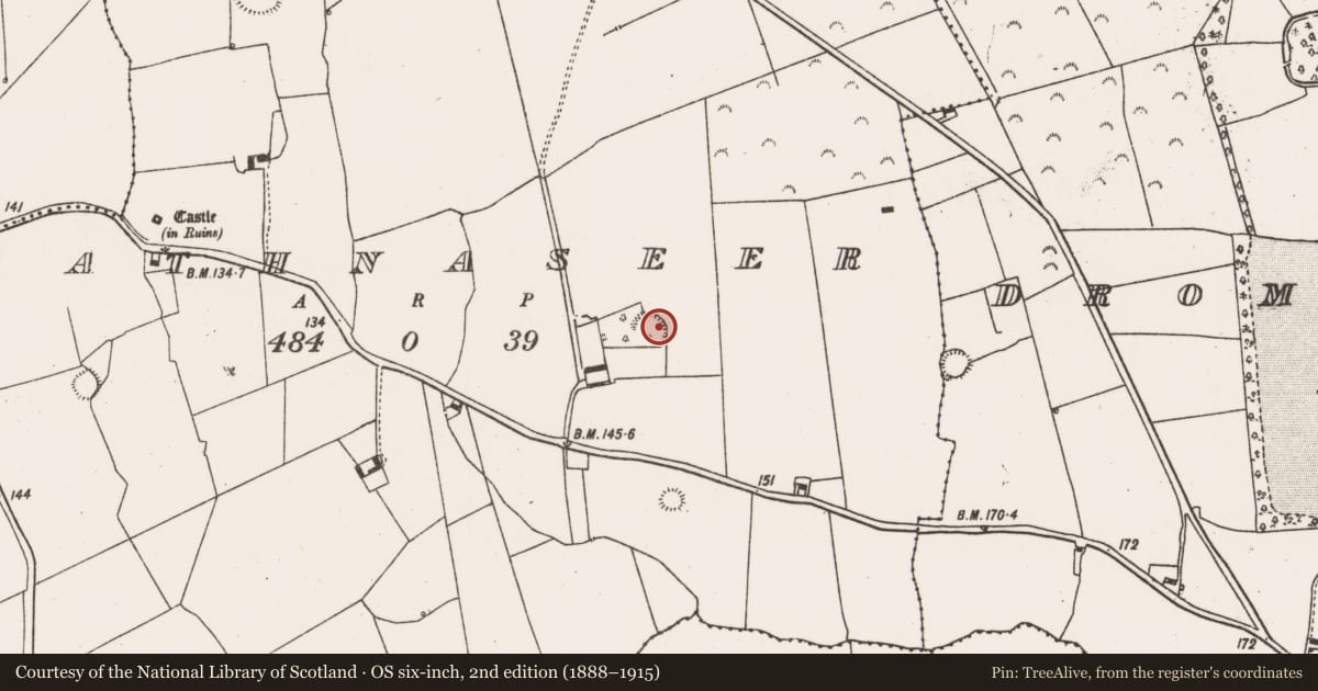 Ordnance Survey six-inch map, 2nd edition (1888–1915) covering the location of Ringfort - rath, Rathnaseer, County Limerick, with a pin at the register's coordinates