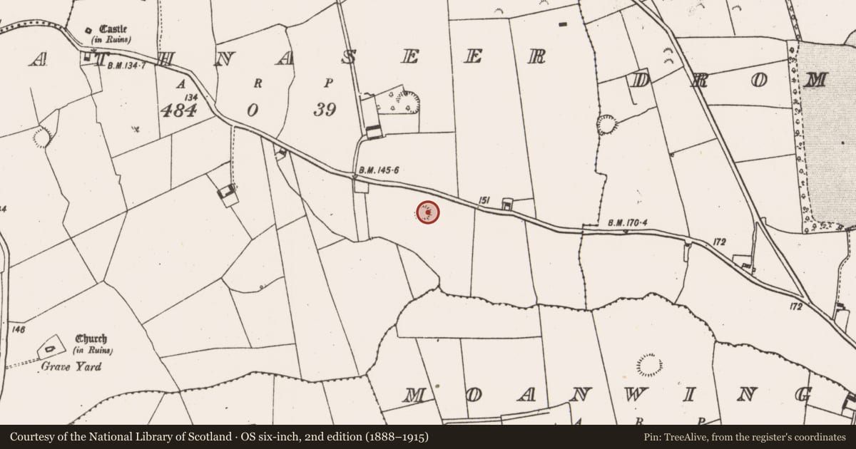 Ordnance Survey six-inch map, 2nd edition (1888–1915) covering the location of Ringfort - rath, Rathnaseer, County Limerick, with a pin at the register's coordinates