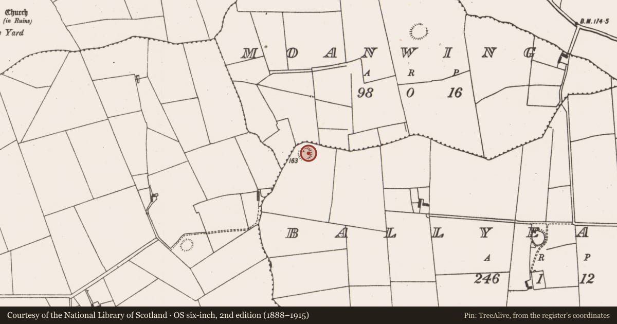 Ordnance Survey six-inch map, 2nd edition (1888–1915) covering the location of Ringfort - rath, Ballyeawood, County Limerick, with a pin at the register's coordinates
