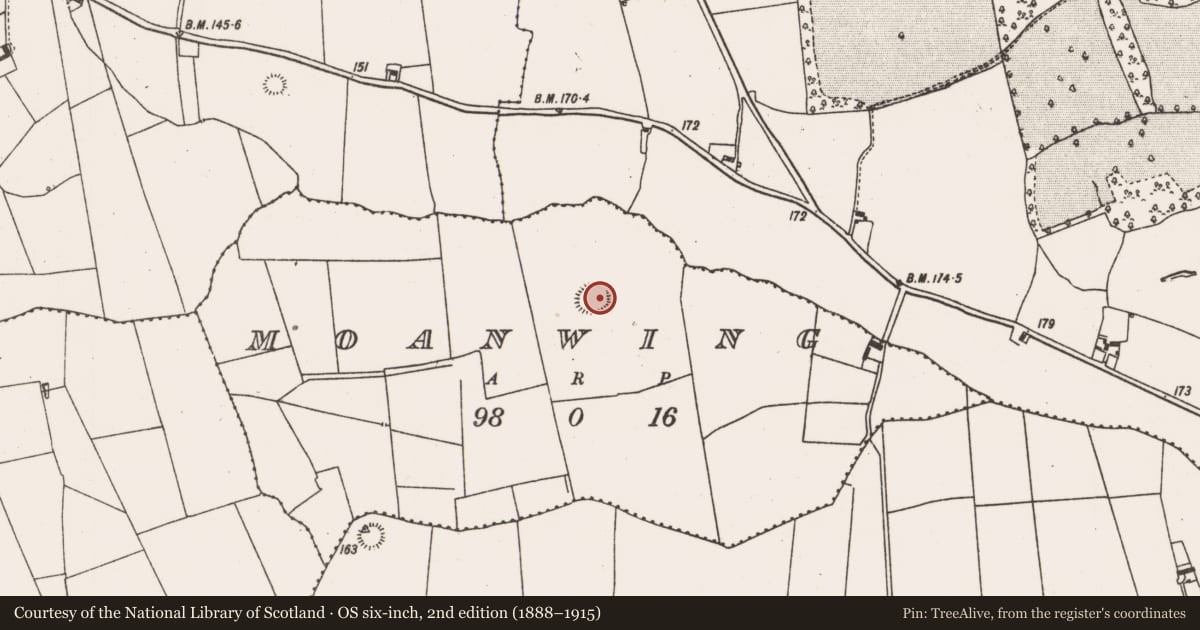 Ordnance Survey six-inch map, 2nd edition (1888–1915) covering the location of Ringfort - rath, Moanwing, County Limerick, with a pin at the register's coordinates