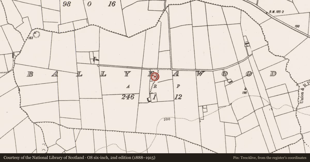 Ordnance Survey six-inch map, 2nd edition (1888–1915) covering the location of Ringfort - rath, Ballyeawood, County Limerick, with a pin at the register's coordinates