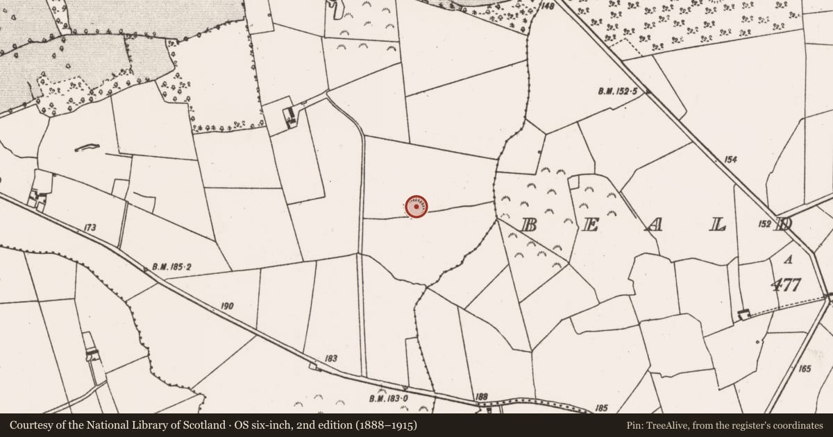 Ordnance Survey six-inch map, 2nd edition (1888–1915) covering the location of Ringfort - rath, Dromard Demesne, County Limerick, with a pin at the register's coordinates