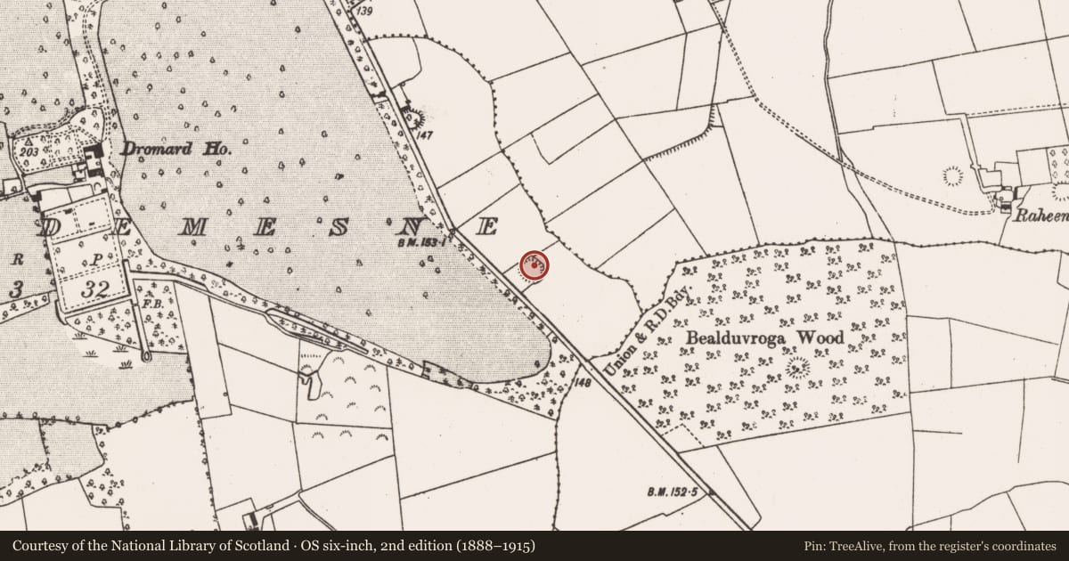 Ordnance Survey six-inch map, 2nd edition (1888–1915) covering the location of Ringfort - rath, Dromard Demesne, County Limerick, with a pin at the register's coordinates
