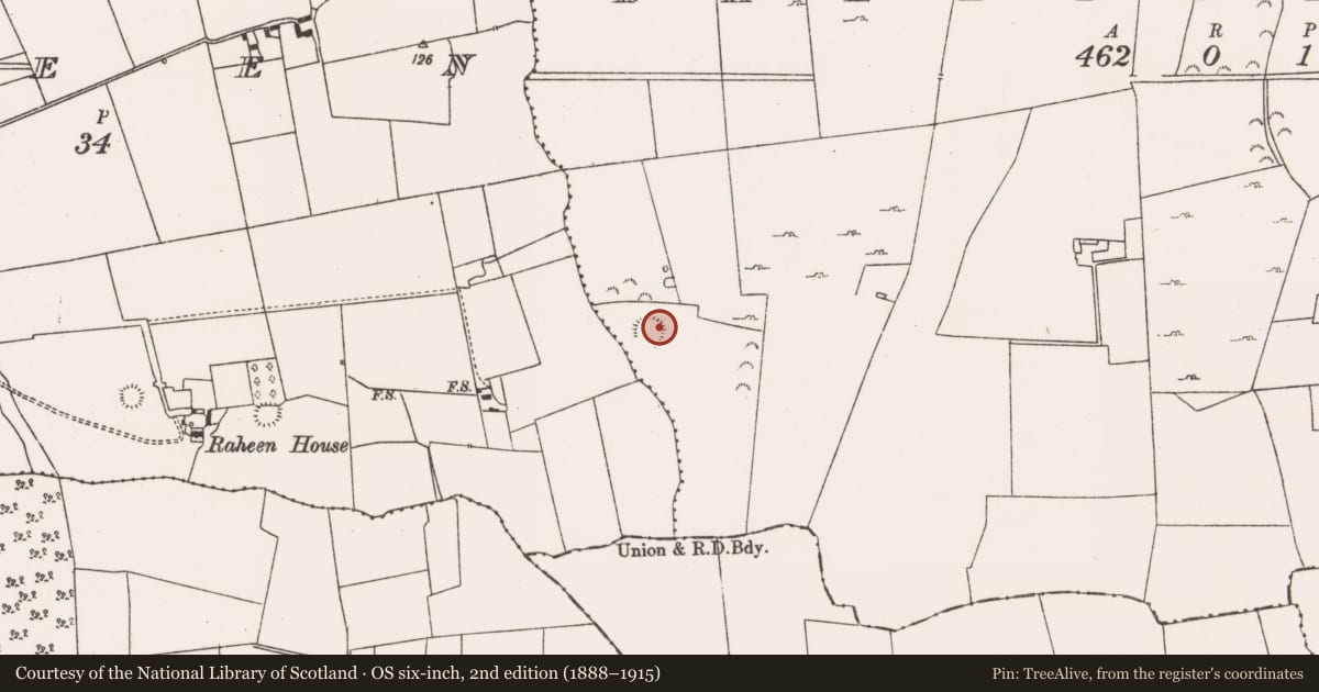 Ordnance Survey six-inch map, 2nd edition (1888–1915) covering the location of Ringfort - rath, Ballynaguila, County Limerick, with a pin at the register's coordinates