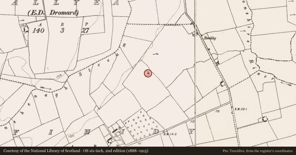 Ordnance Survey six-inch map, 2nd edition (1888–1915) covering the location of Ringfort - rath, Fihidy, County Limerick, with a pin at the register's coordinates