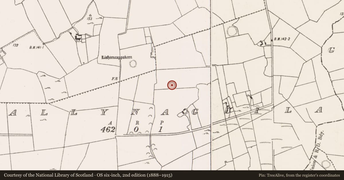 Ordnance Survey six-inch map, 2nd edition (1888–1915) covering the location of Ringfort - rath, Ballynaguila, County Limerick, with a pin at the register's coordinates