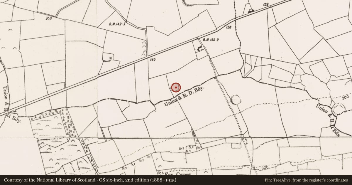 Ordnance Survey six-inch map, 2nd edition (1888–1915) covering the location of Ringfort - rath, Loghill, County Limerick, with a pin at the register's coordinates