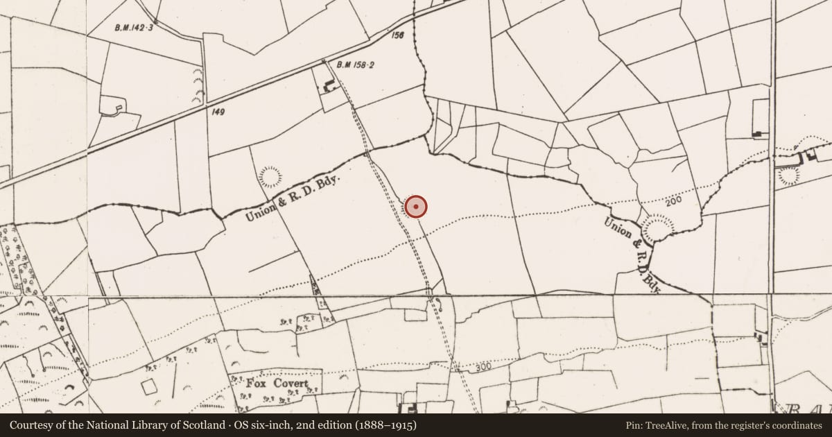 Ordnance Survey six-inch map, 2nd edition (1888–1915) covering the location of Ringfort - rath, Knockaderry, County Limerick, with a pin at the register's coordinates