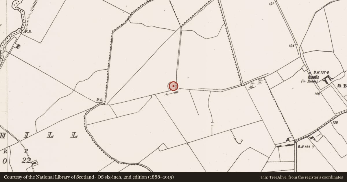 Ordnance Survey six-inch map, 2nd edition (1888–1915) covering the location of Ringfort - rath, Ballyallinan South, County Limerick, with a pin at the register's coordinates