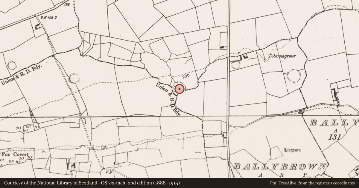 Ordnance Survey six-inch map, 2nd edition (1888–1915) covering the location of Ringfort - rath, Ballyallinan South, Ballybrown, County Limerick, with a pin at the register's coordinates