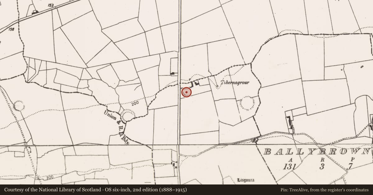 Ordnance Survey six-inch map, 2nd edition (1888–1915) covering the location of Ringfort - rath, Ballybrown, County Limerick, with a pin at the register's coordinates
