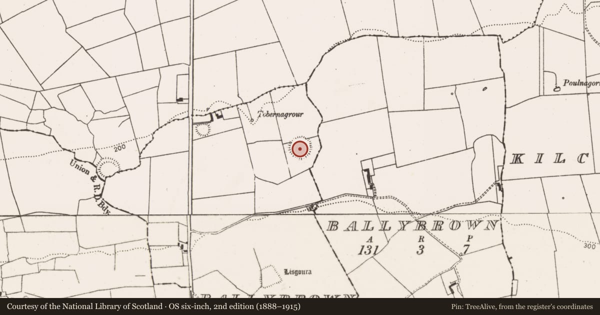 Ordnance Survey six-inch map, 2nd edition (1888–1915) covering the location of Ringfort - rath, Ballybrown, County Limerick, with a pin at the register's coordinates