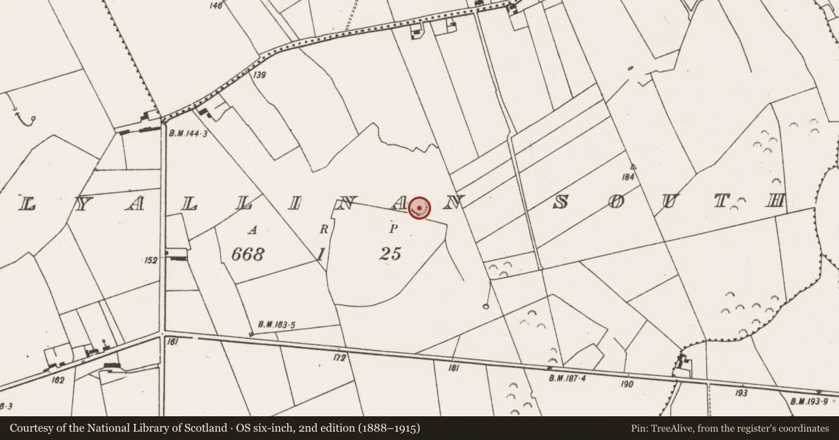 Ordnance Survey six-inch map, 2nd edition (1888–1915) covering the location of Ringfort - rath, Ballyallinan South, County Limerick, with a pin at the register's coordinates