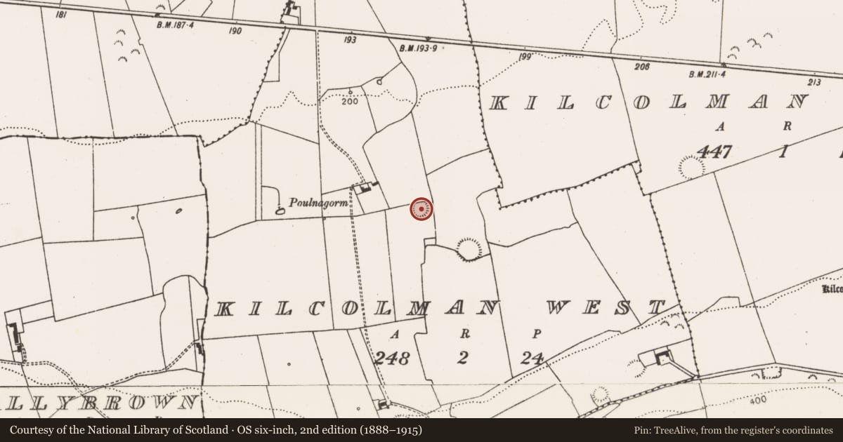 Ordnance Survey six-inch map, 2nd edition (1888–1915) covering the location of Ringfort - rath, Kilcolman West, County Limerick, with a pin at the register's coordinates
