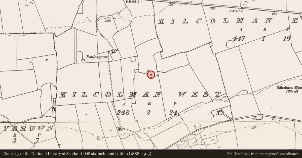 Ordnance Survey six-inch map, 2nd edition (1888–1915) covering the location of Ringfort - rath, Kilcolman West, County Limerick, with a pin at the register's coordinates