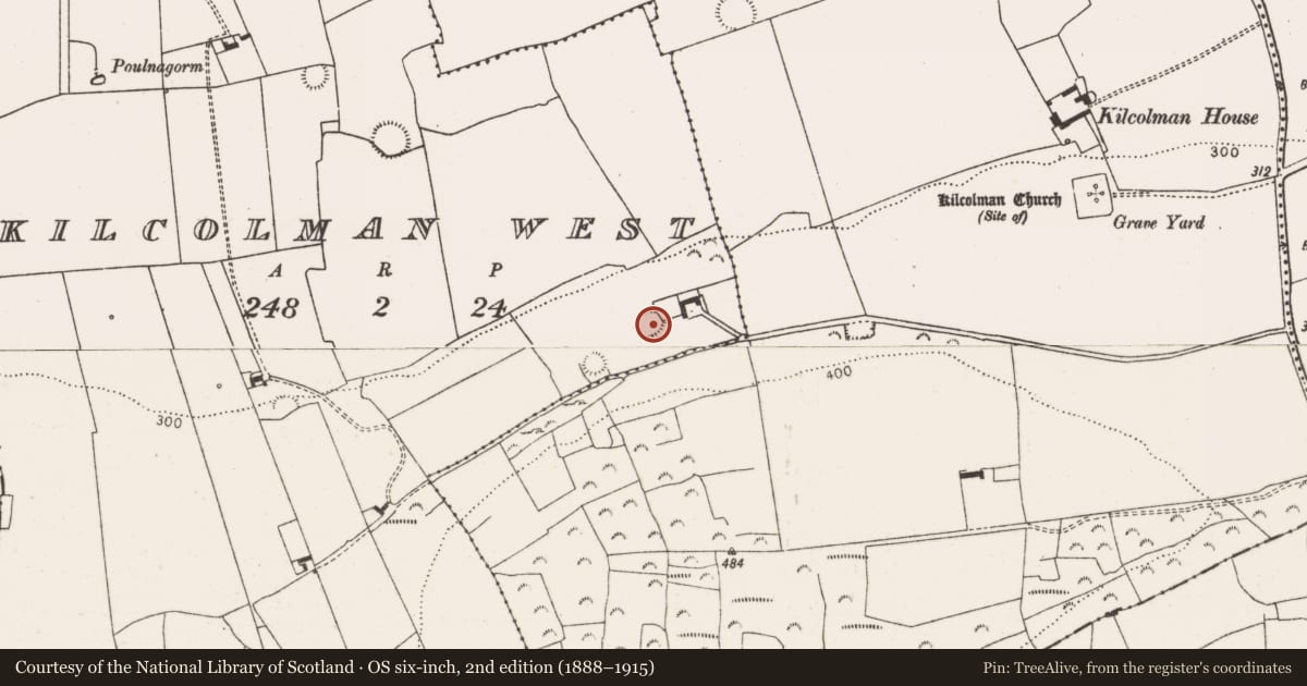 Ordnance Survey six-inch map, 2nd edition (1888–1915) covering the location of Ringfort - rath, Kilcolman West, County Limerick, with a pin at the register's coordinates