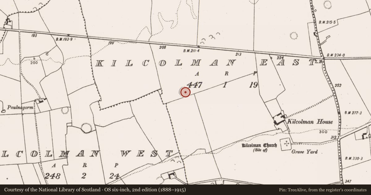Ordnance Survey six-inch map, 2nd edition (1888–1915) covering the location of Ringfort - rath, Kilcolman East, County Limerick, with a pin at the register's coordinates