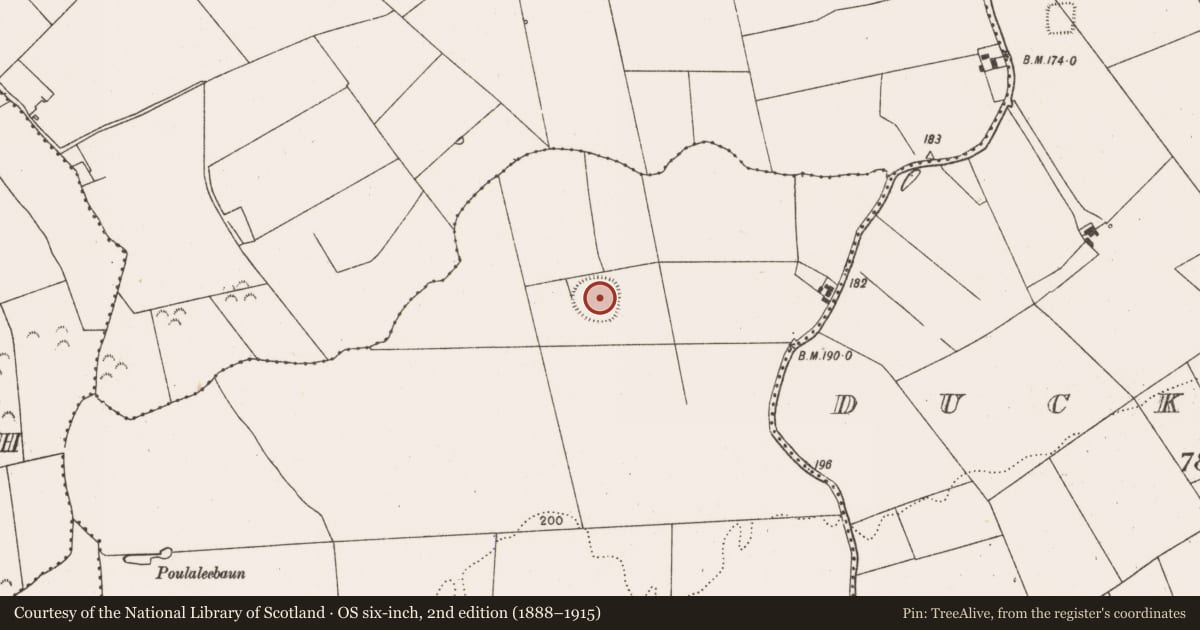 Ordnance Survey six-inch map, 2nd edition (1888–1915) covering the location of Ringfort - rath, Kilcolman East, County Limerick, with a pin at the register's coordinates