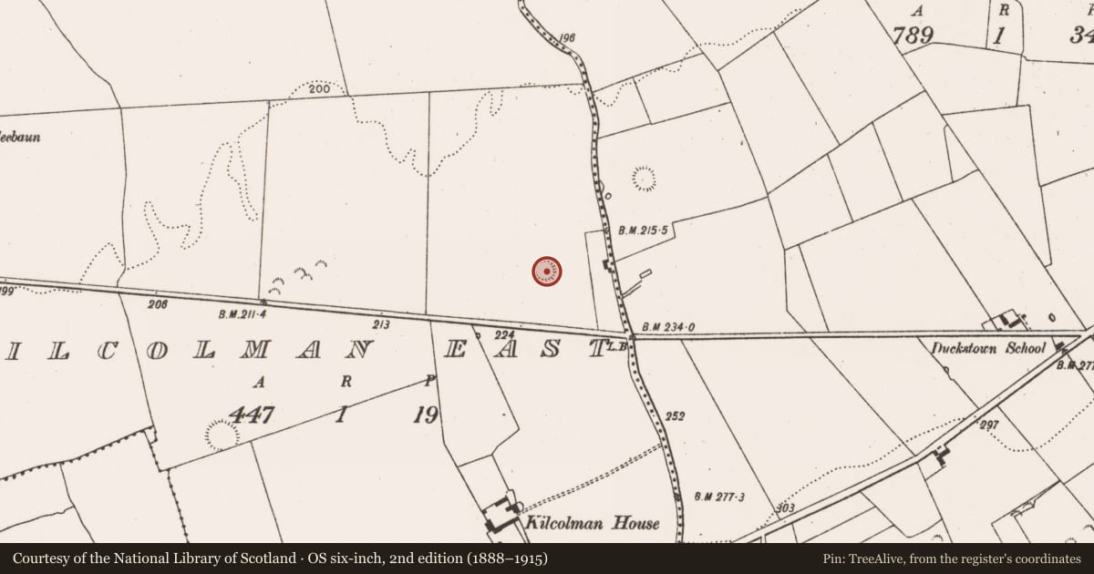 Ordnance Survey six-inch map, 2nd edition (1888–1915) covering the location of Ringfort - rath, Kilcolman East, County Limerick, with a pin at the register's coordinates