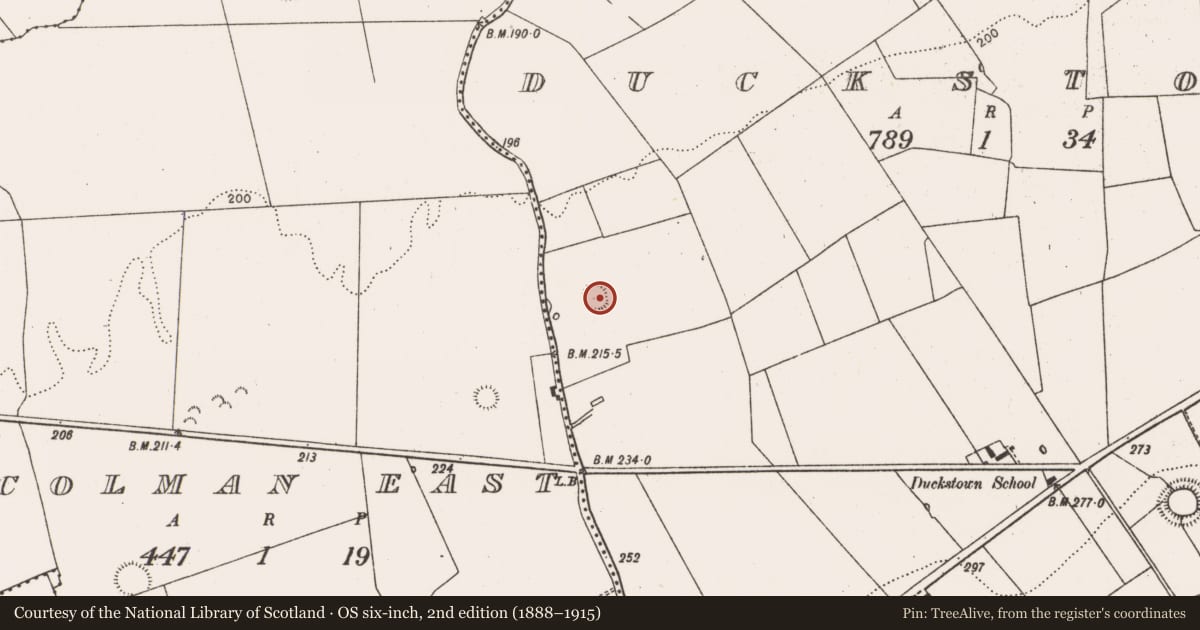Ordnance Survey six-inch map, 2nd edition (1888–1915) covering the location of Ringfort - rath, Duckstown, County Limerick, with a pin at the register's coordinates