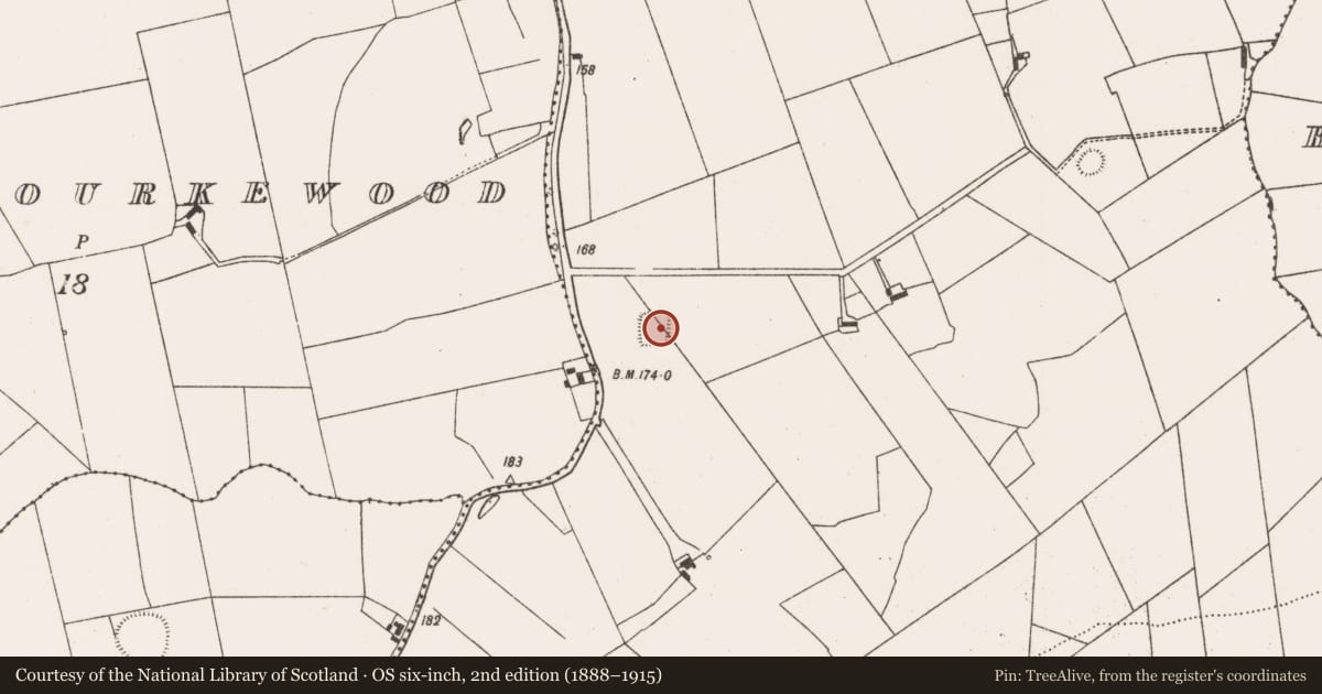 Ordnance Survey six-inch map, 2nd edition (1888–1915) covering the location of Moated site, Duckstown, County Limerick, with a pin at the register's coordinates