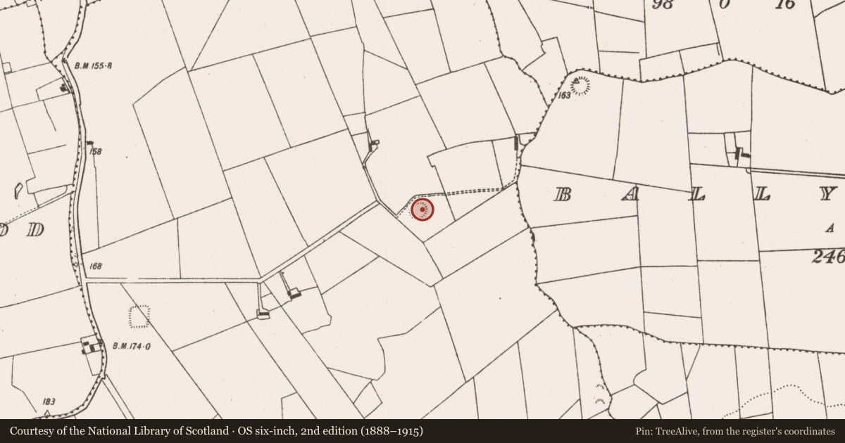 Ordnance Survey six-inch map, 2nd edition (1888–1915) covering the location of Ringfort - rath, Duckstown, County Limerick, with a pin at the register's coordinates