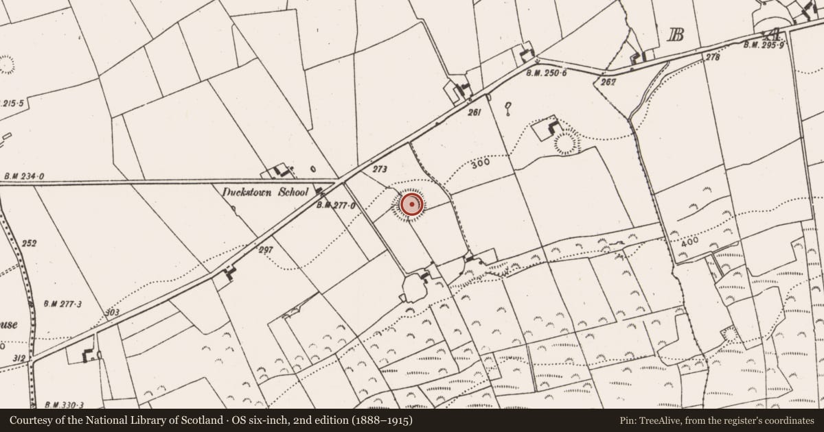 Ordnance Survey six-inch map, 2nd edition (1888–1915) covering the location of Ringfort - rath, Duckstown, County Limerick, with a pin at the register's coordinates
