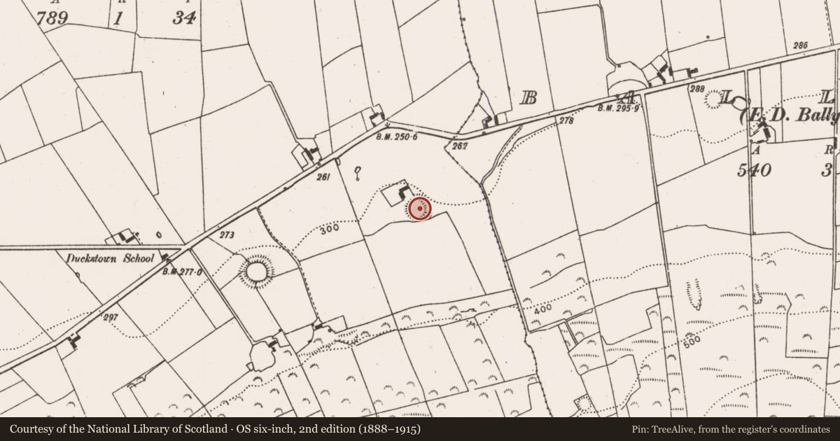 Ordnance Survey six-inch map, 2nd edition (1888–1915) covering the location of Ringfort - rath, Duckstown, County Limerick, with a pin at the register's coordinates