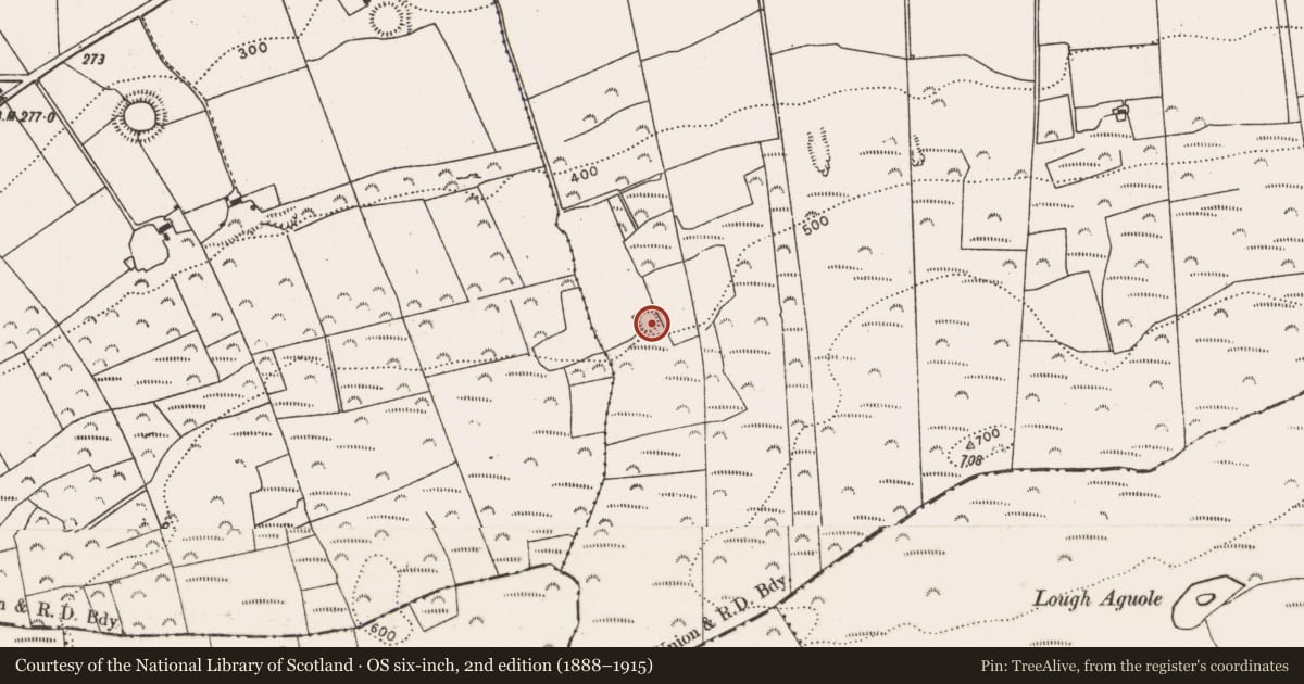 Ordnance Survey six-inch map, 2nd edition (1888–1915) covering the location of Ringfort - rath, Ballyea, County Limerick, with a pin at the register's coordinates