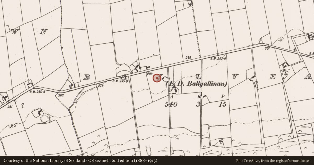 Ordnance Survey six-inch map, 2nd edition (1888–1915) covering the location of Ringfort - rath, Ballyea, County Limerick, with a pin at the register's coordinates