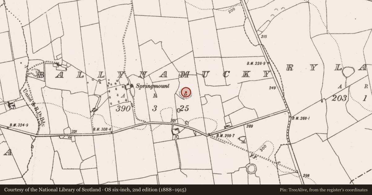 Ordnance Survey six-inch map, 2nd edition (1888–1915) covering the location of Ringfort - rath, Ballynamucky, County Limerick, with a pin at the register's coordinates