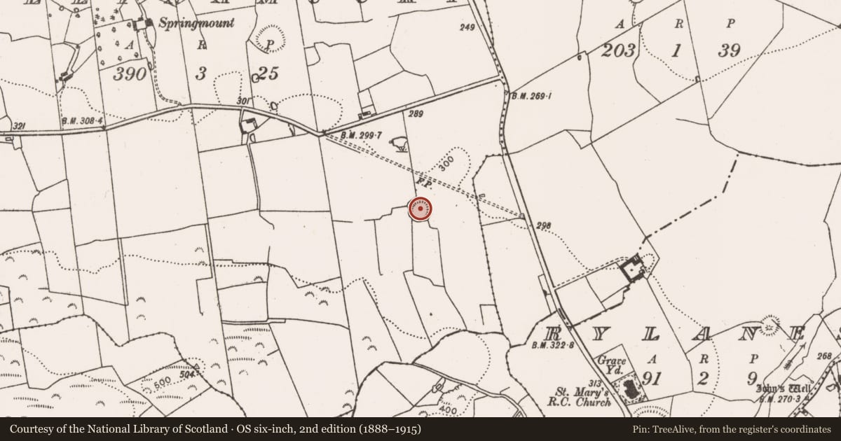Ordnance Survey six-inch map, 2nd edition (1888–1915) covering the location of Ringfort - rath, Ballynamucky, County Limerick, with a pin at the register's coordinates