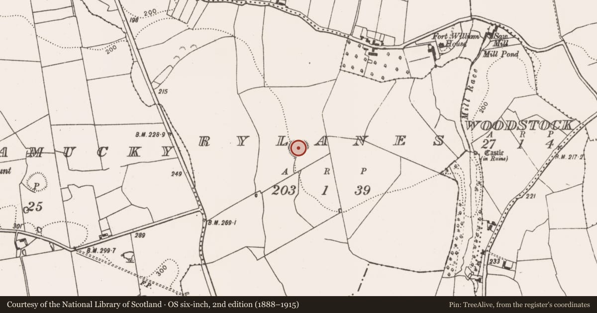 Ordnance Survey six-inch map, 2nd edition (1888–1915) covering the location of Ringfort - rath, Rylanes, County Limerick, with a pin at the register's coordinates
