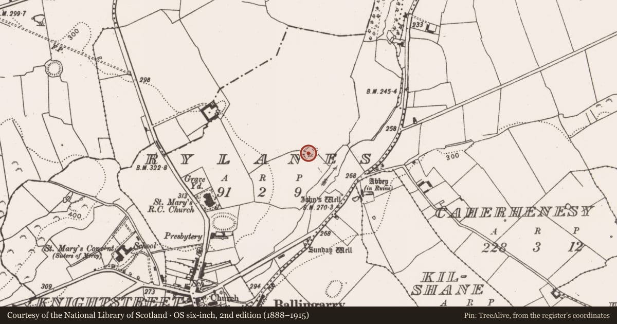 Ordnance Survey six-inch map, 2nd edition (1888–1915) covering the location of Castle - motte, Rylanes, County Limerick, with a pin at the register's coordinates