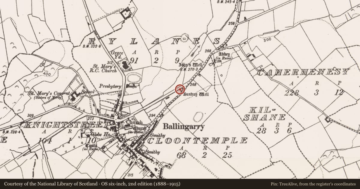 Ordnance Survey six-inch map, 2nd edition (1888–1915) covering the location of Ritual site - holy well, Rylanes, County Limerick, with a pin at the register's coordinates