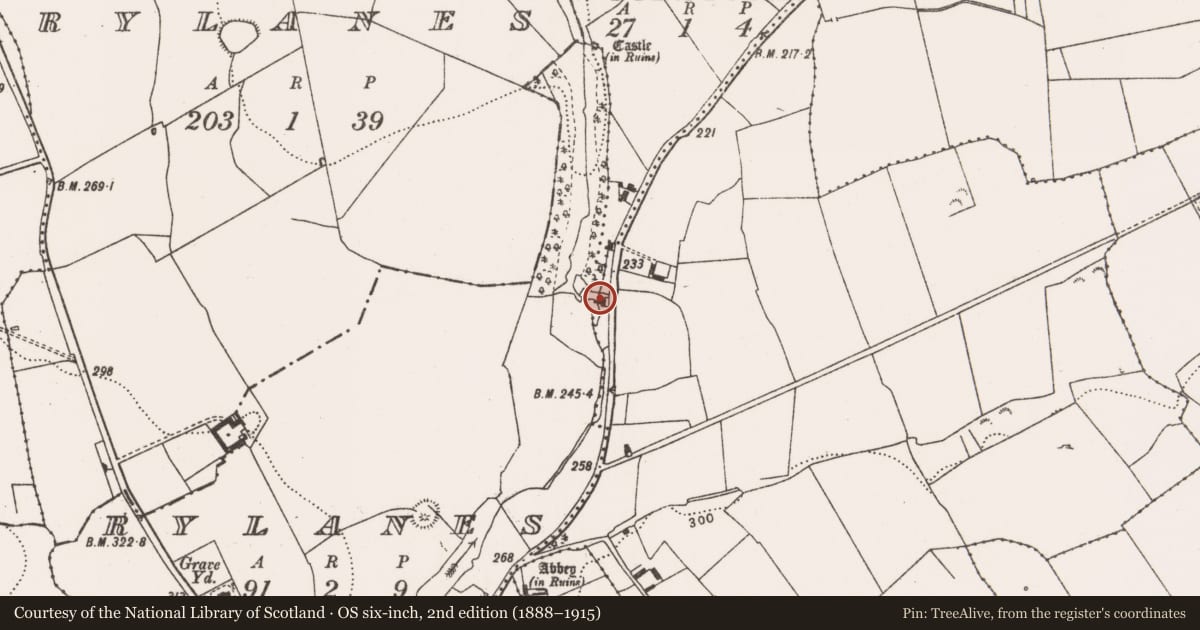 Ordnance Survey six-inch map, 2nd edition (1888–1915) covering the location of Mill - unclassified, Rylanes, County Limerick, with a pin at the register's coordinates